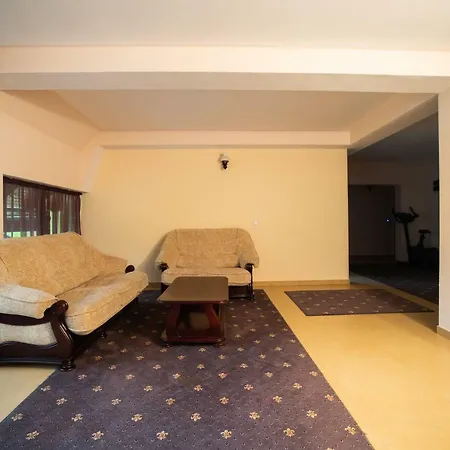 Decorale Guest house Singeorz-Bai