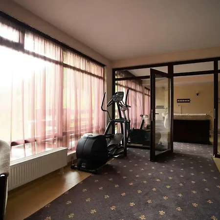 Decorale Guest house Singeorz-Bai